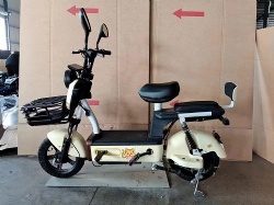 Electric two-wheeler